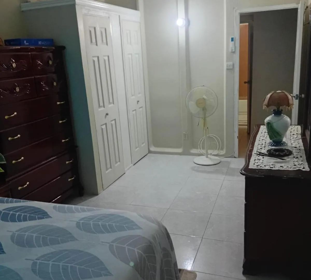 Doug Manor Flat 2 Apartman Portmore