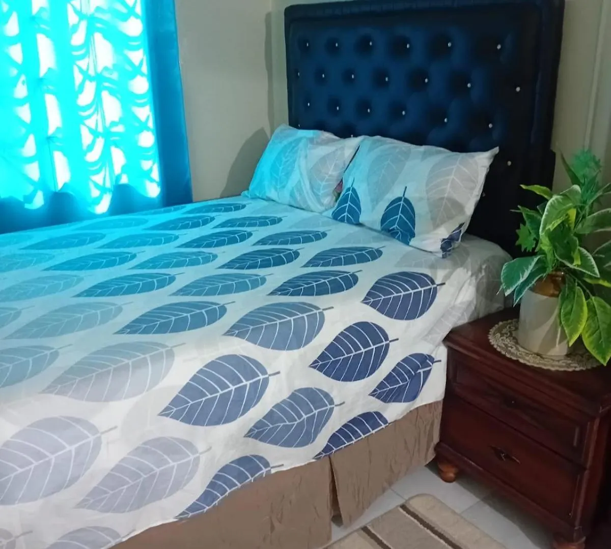 Doug Manor Flat 2 Apartman Portmore